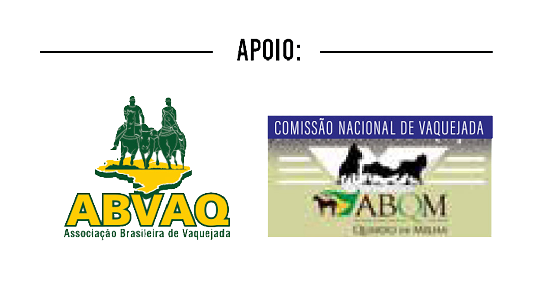 ABVAQ Logo transparente