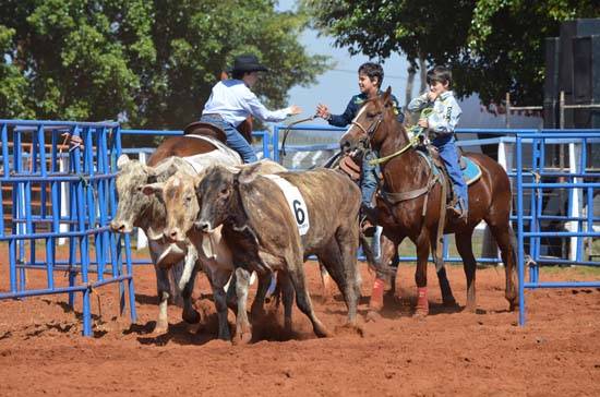 img team penning