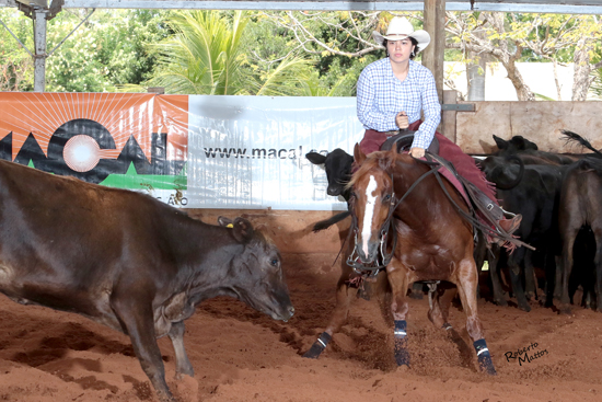 AMADOR PATRICIA LEITE