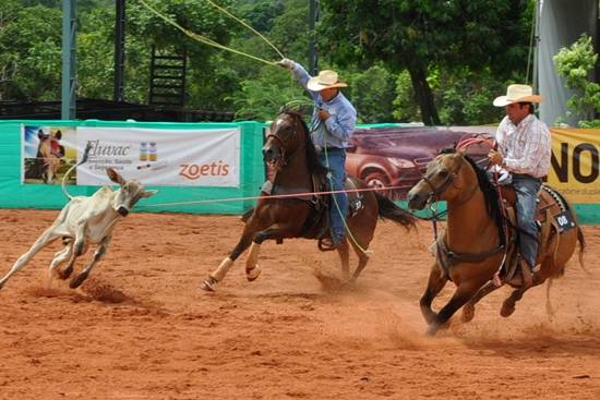 Semana do Cavalo twin brothers