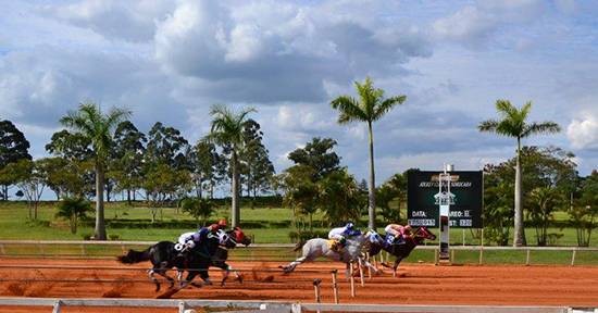 Sorocaba futurity