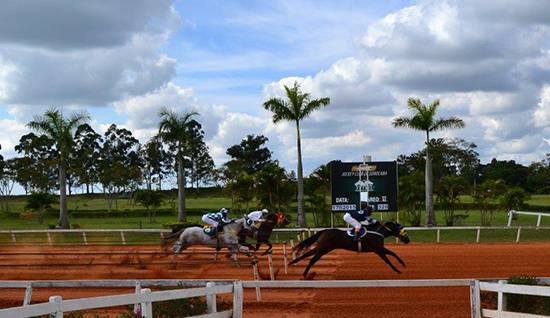 Torneio Especial flor do campo