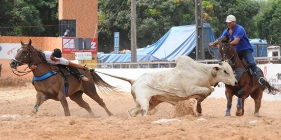 Belina e Branco