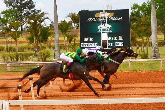 brasileiro gold gp consagracao 2014