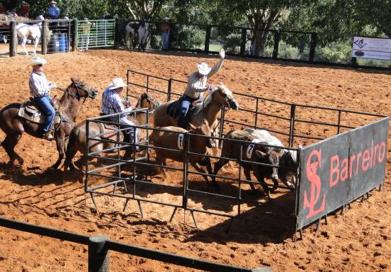 team penning hospital do cancer