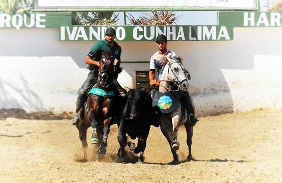 Celso Vitorio campeao Aberta PF