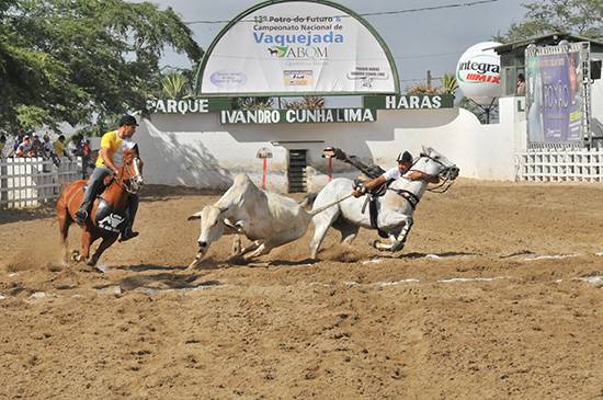 campeao aberta vaquejada nacional