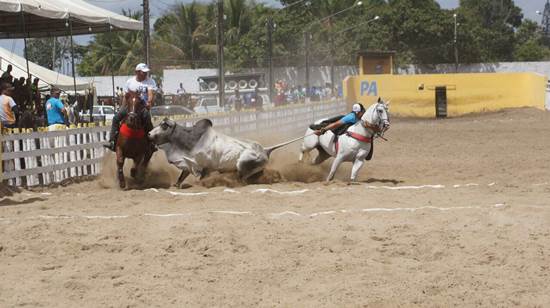 vaquejadadocssilverzorrero