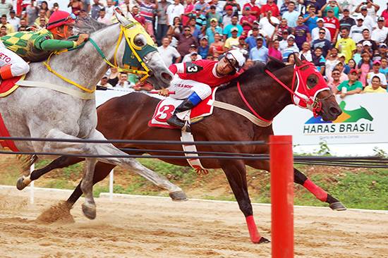 chamada corrida gp haras primavera