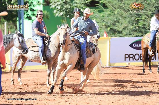 semana do cavalo cuiaba abre