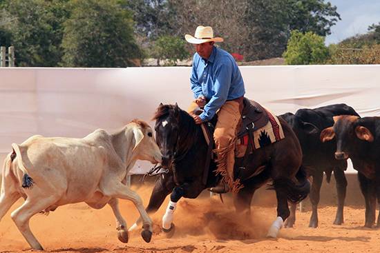 Anna Onyx e Jadson camp baiano