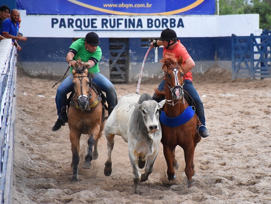 DSC 7033 PF Vaquejada 2016 550