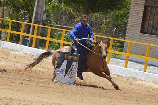 Pedro Neto foto 1