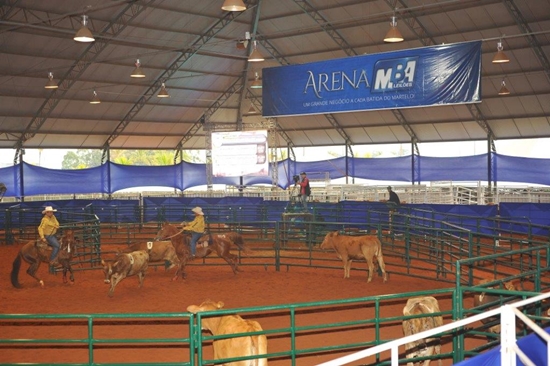 fsc 0580 arena mba