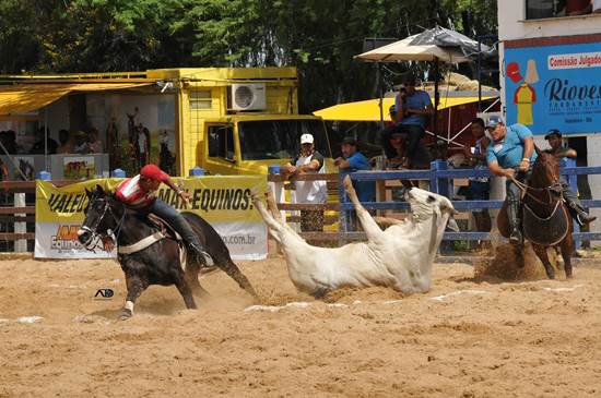 550 dude dora jas campeao em vaquejada