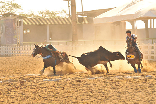 Porcino da Costa campeao Amador Nac