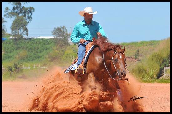 Golden Reininh lote 1 result