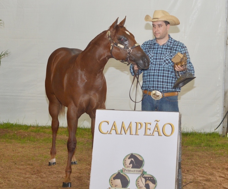 Mad Desire VIC ficou com o título da Amador na apresentação de Chico Simas