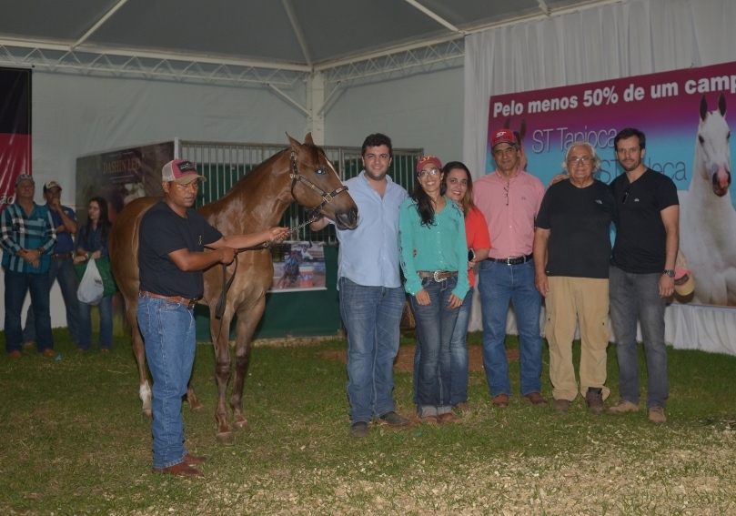  Confraternização dos vendedores e compradores do potro ST My Fame