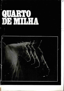 Capa de Edição 003