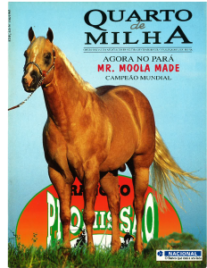 Capa de Edição 104