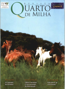 Capa de Edição 206