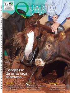 Capa de Edição 223