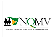 NQMV